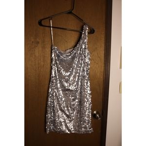 Silver Sequined Profile Dress